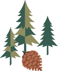Pine